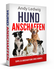 Hund anschaffen - aber richtig.