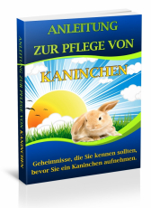 Anleitung zur Pflege von Kaninchen.