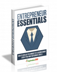 Entrepreneur Essentials 2. (Englische MRR)