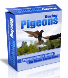 Racing Pigeons WP HTML PSD Template. (Englische PLR)